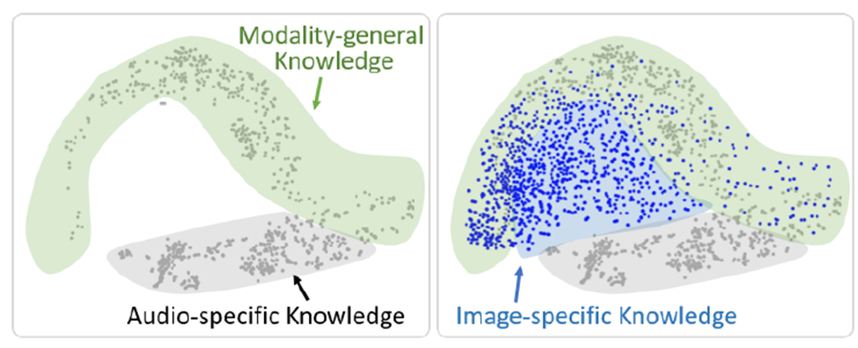 Understanding Dimensional Collapse in Cross-Modal Feature Distillation teaser